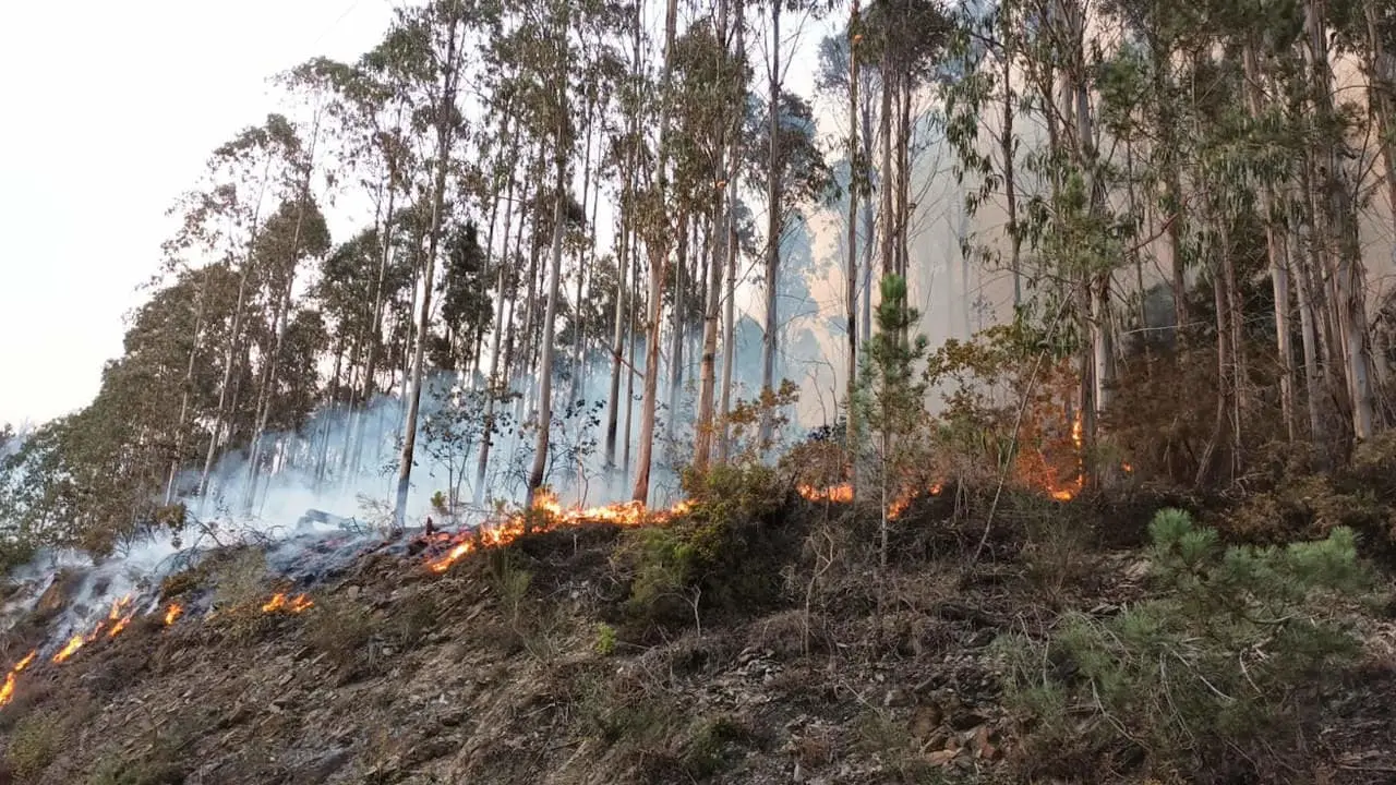 BNG Ribadeo incendios