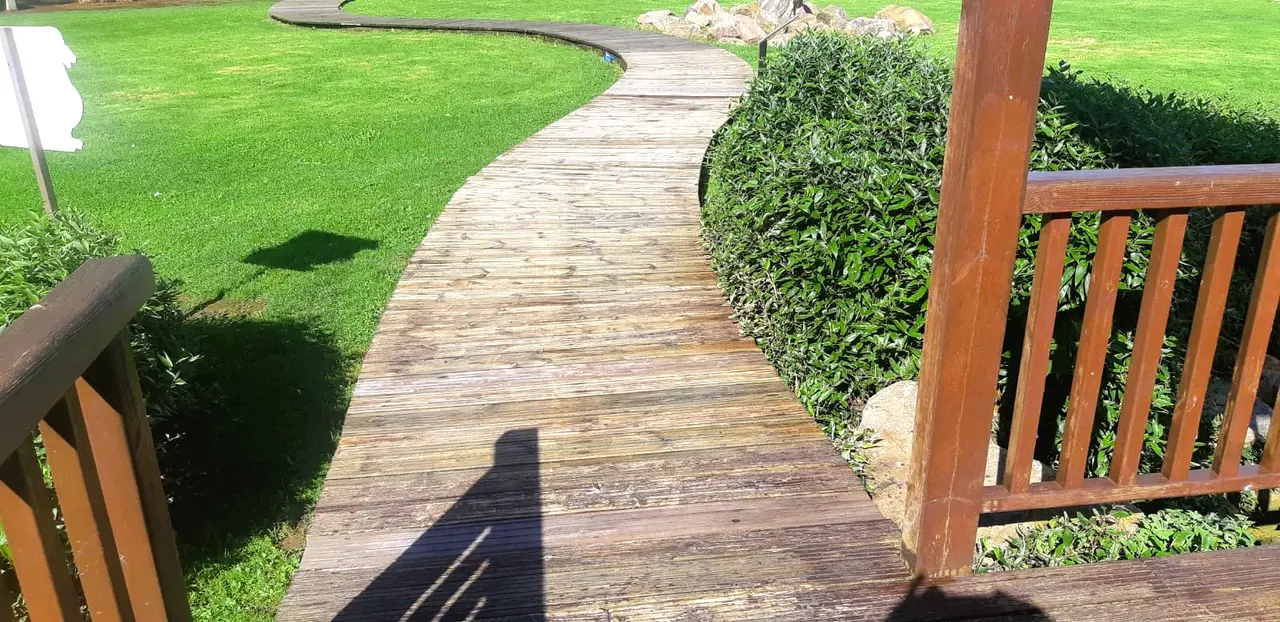 parque Viveiro