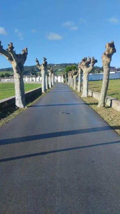 poda en ribadeo