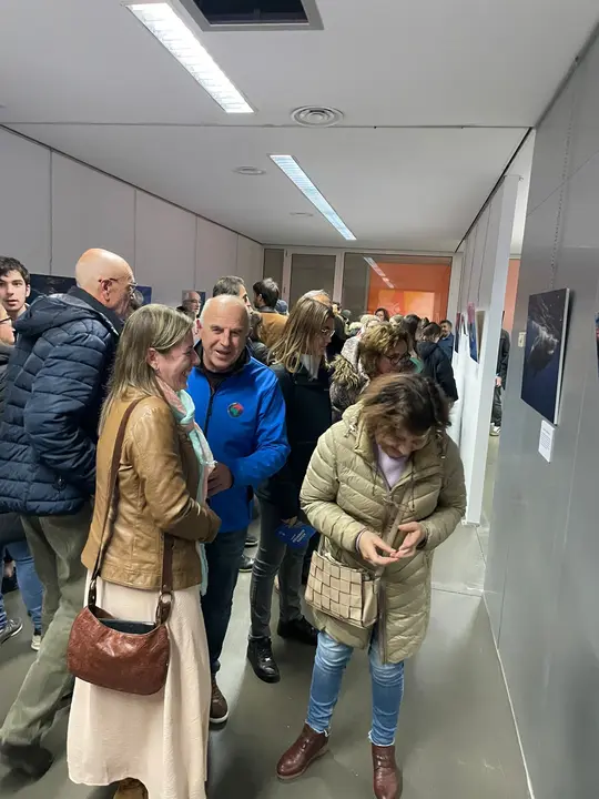 muestra fotográfica cervo anxo cao