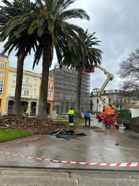 Foto podas Ribadeo