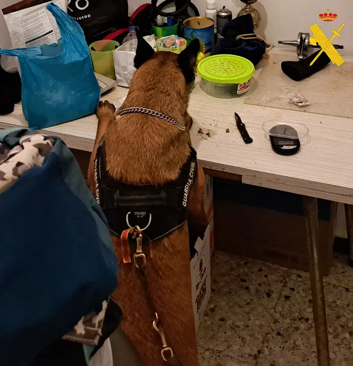 operacion deguello desarticulada organizacion criminal droga Lugo
