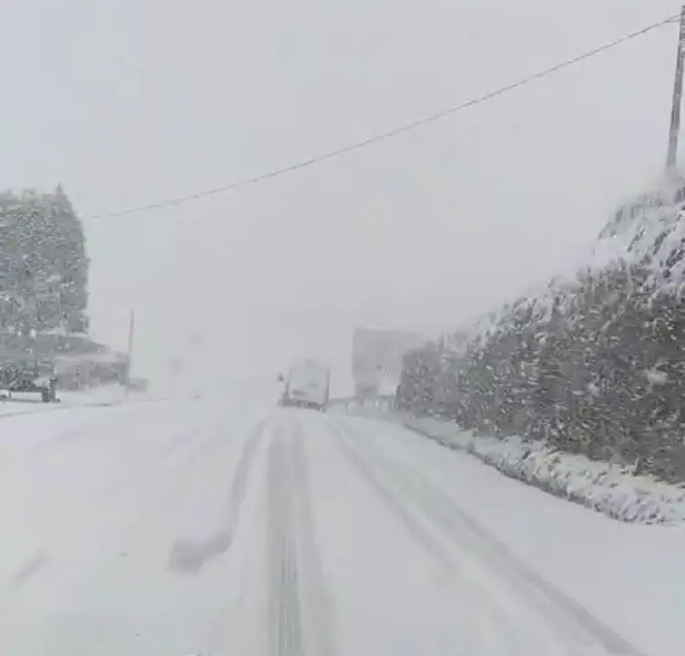 ralli nieve