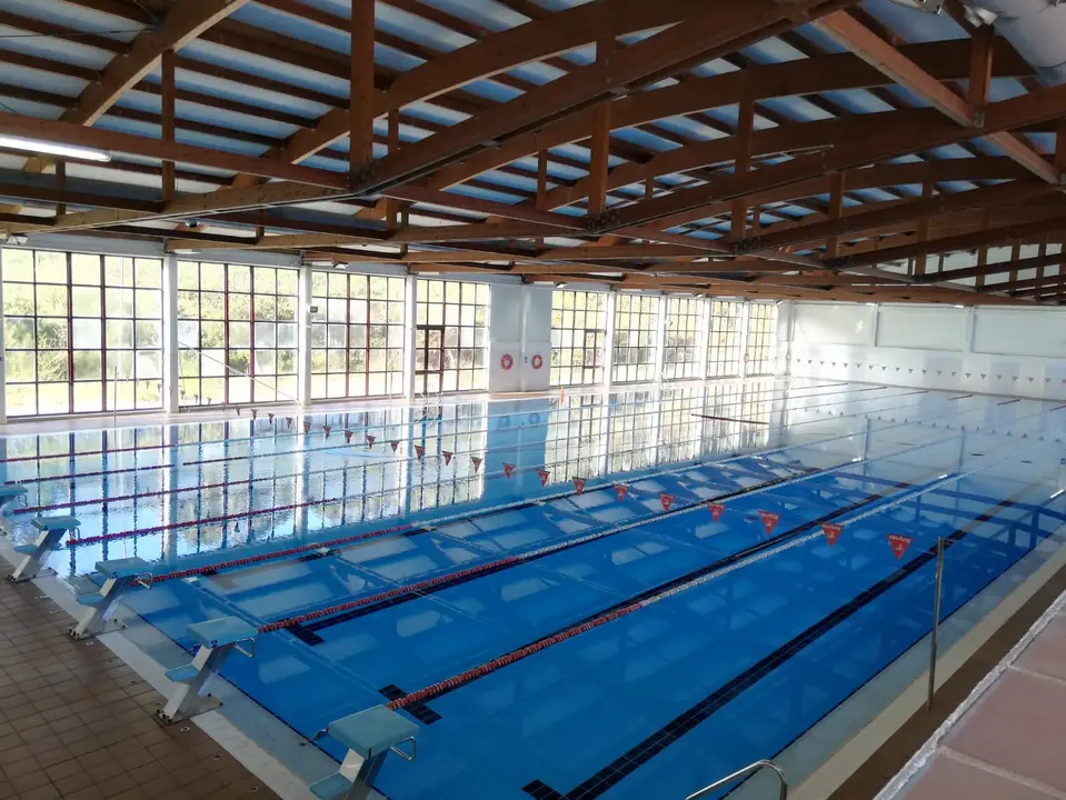 piscina cervo acceso digitalizado