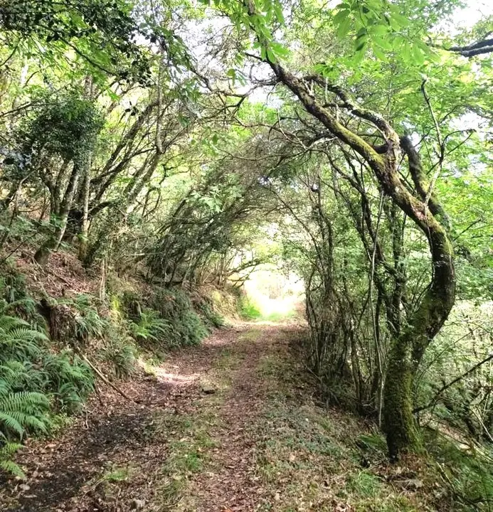 RUTA VILAPENA nueva área recreativa trabada