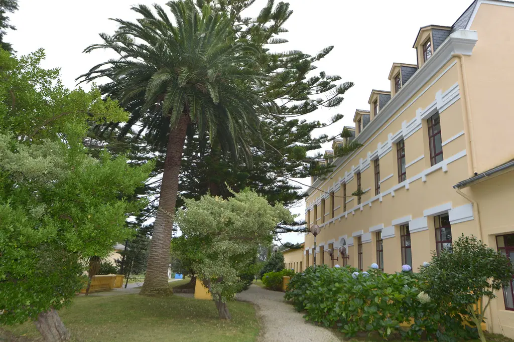 Granxa-escola-Pedro-Murias-2