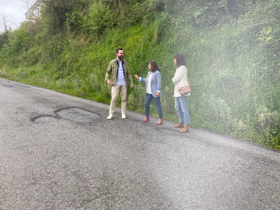 FOTO LU-P-6605 Viveiro