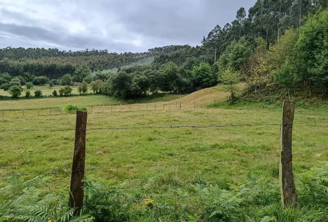 Santa Eulalia de Oscos