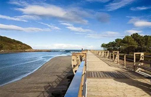 navia