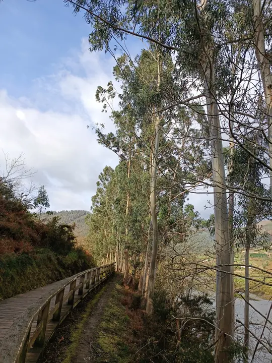 VIVEIRO 9 MAIO Paseo fluvial