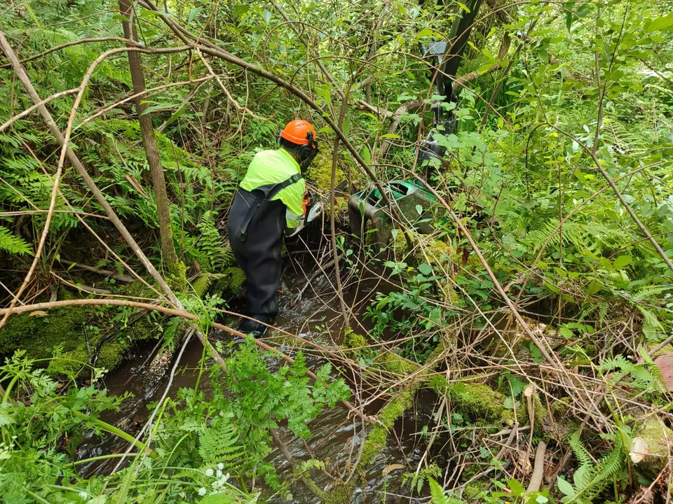 actuacion conservacion Viveiro