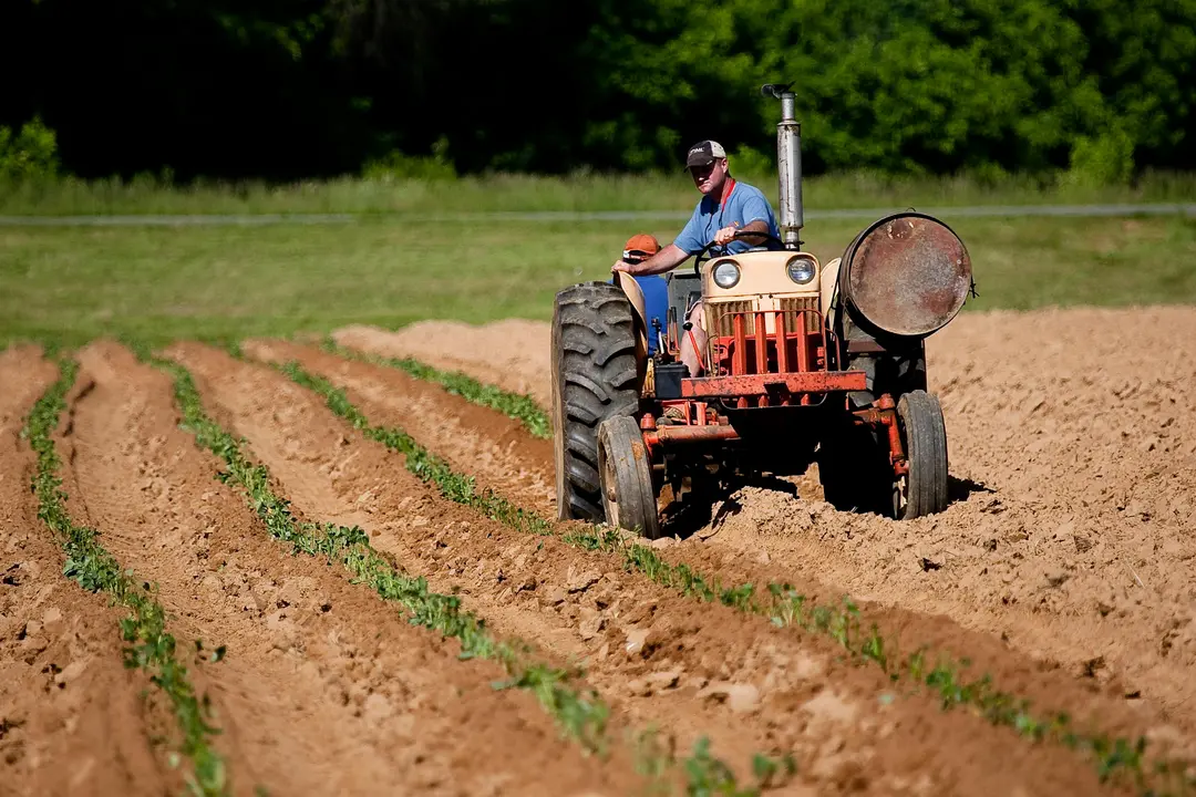 pexels-nc-farm-bureau-mark-2252618