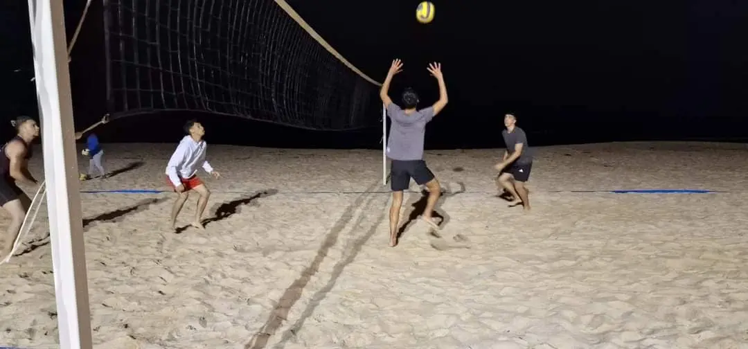 volei cervo