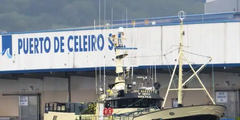celeiro-dia-oceanos-800x400.jpg