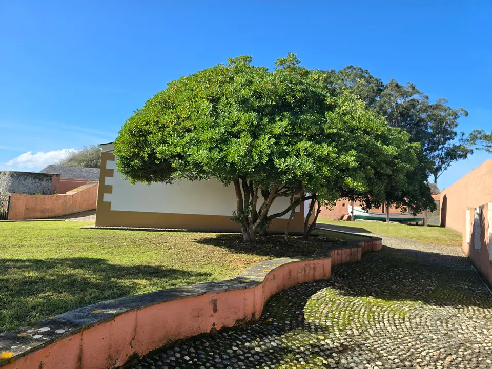 20240928_125701 - copia