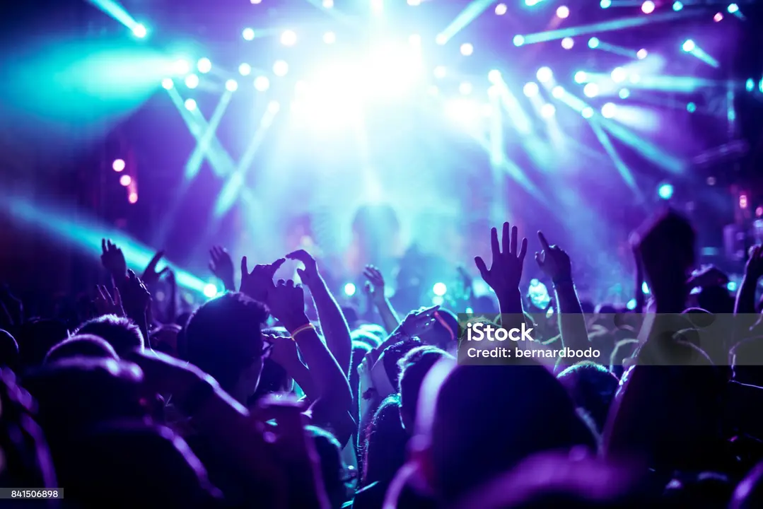 Crowd raising their hands and enjoying great festival party.