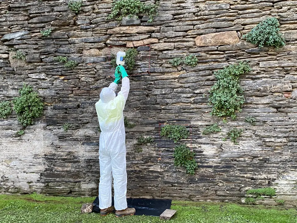 Bioherbicida Muralla 1