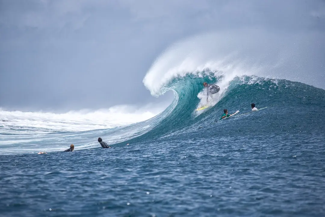 Surf Archivo