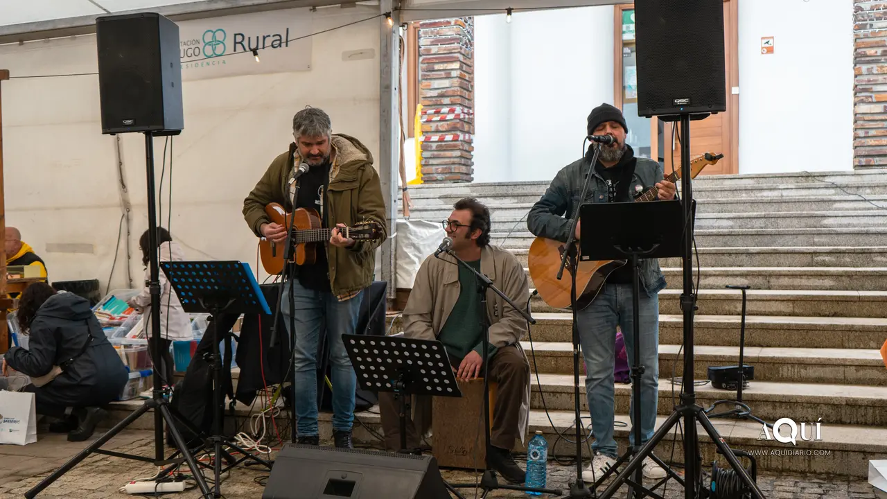 Mercadi&ntilde;o de Nadal de Barreiros (4)