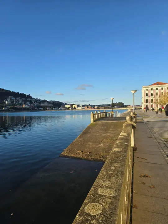 Viveiro recurso