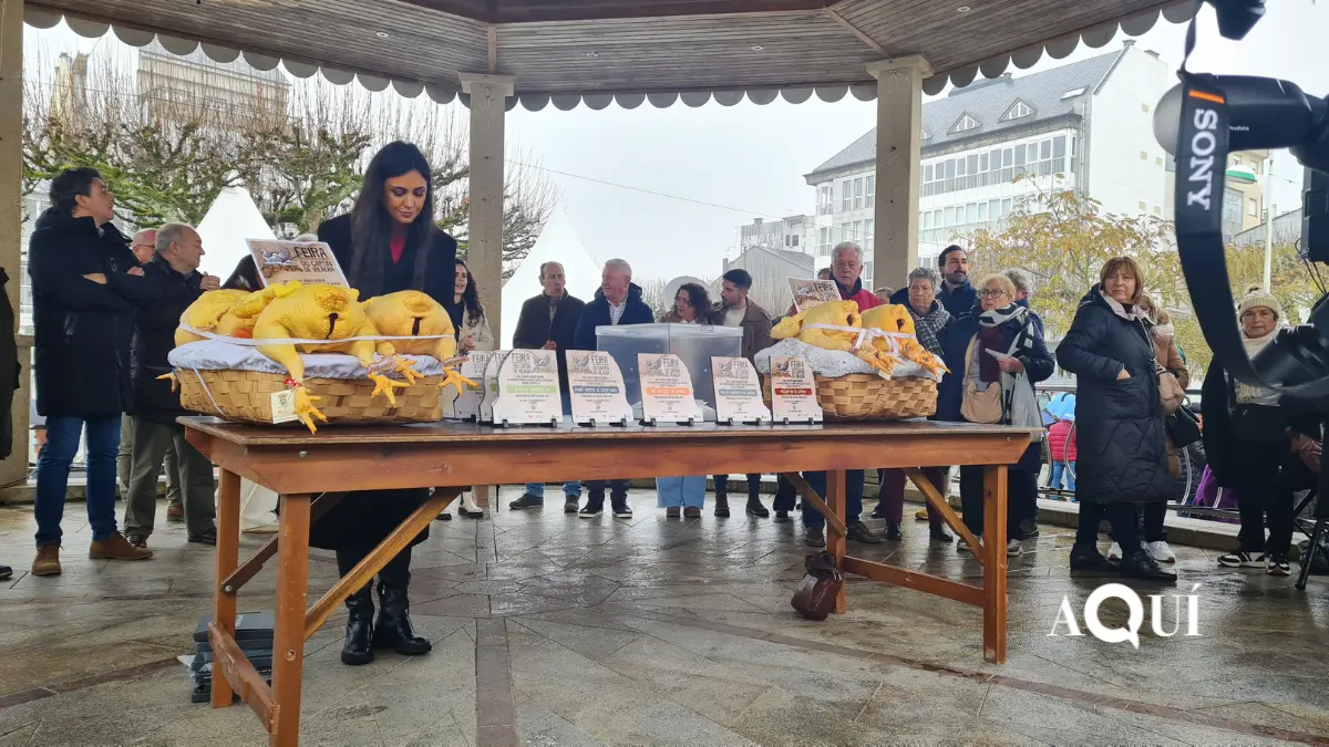 Feira do Capón de Vilalba (35)