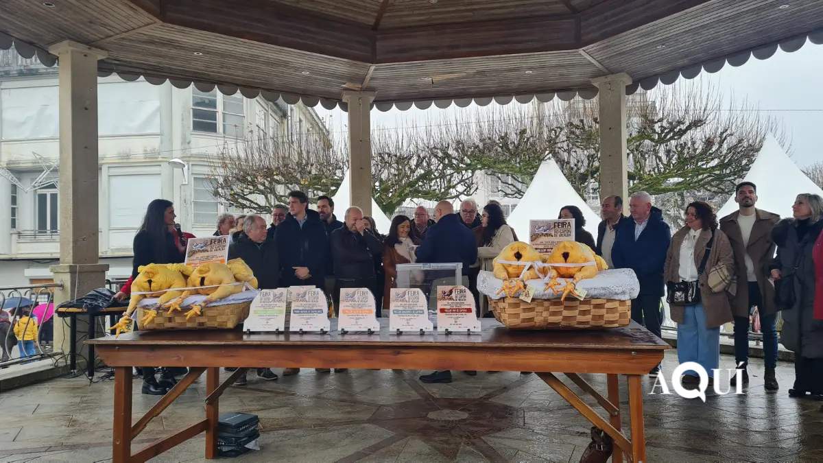 Feira do Capón de Vilalba (37)