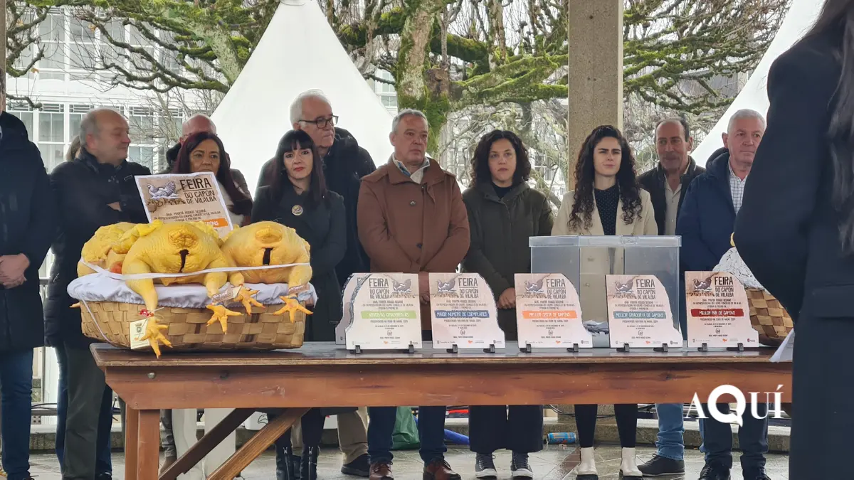 Feira do Capón de Vilalba (45)