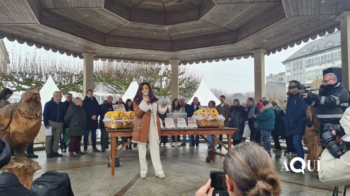 Feira do Capón de Vilalba (1)