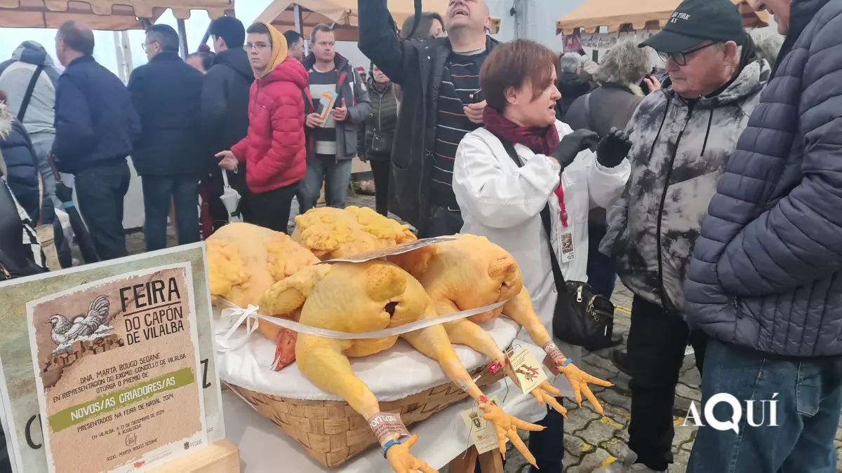 Feira do Capón de Vilalba (9)