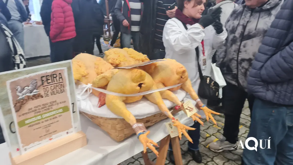 Feira do Capón de Vilalba (10)