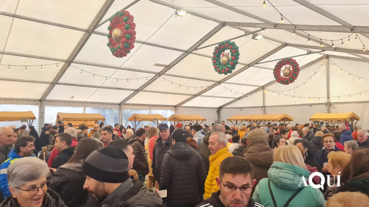 Feira do Capón de Vilalba (11)