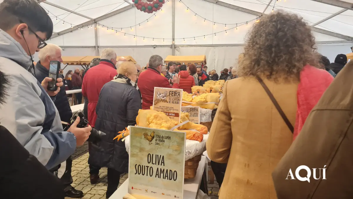 Feira do Capón de Vilalba (14)
