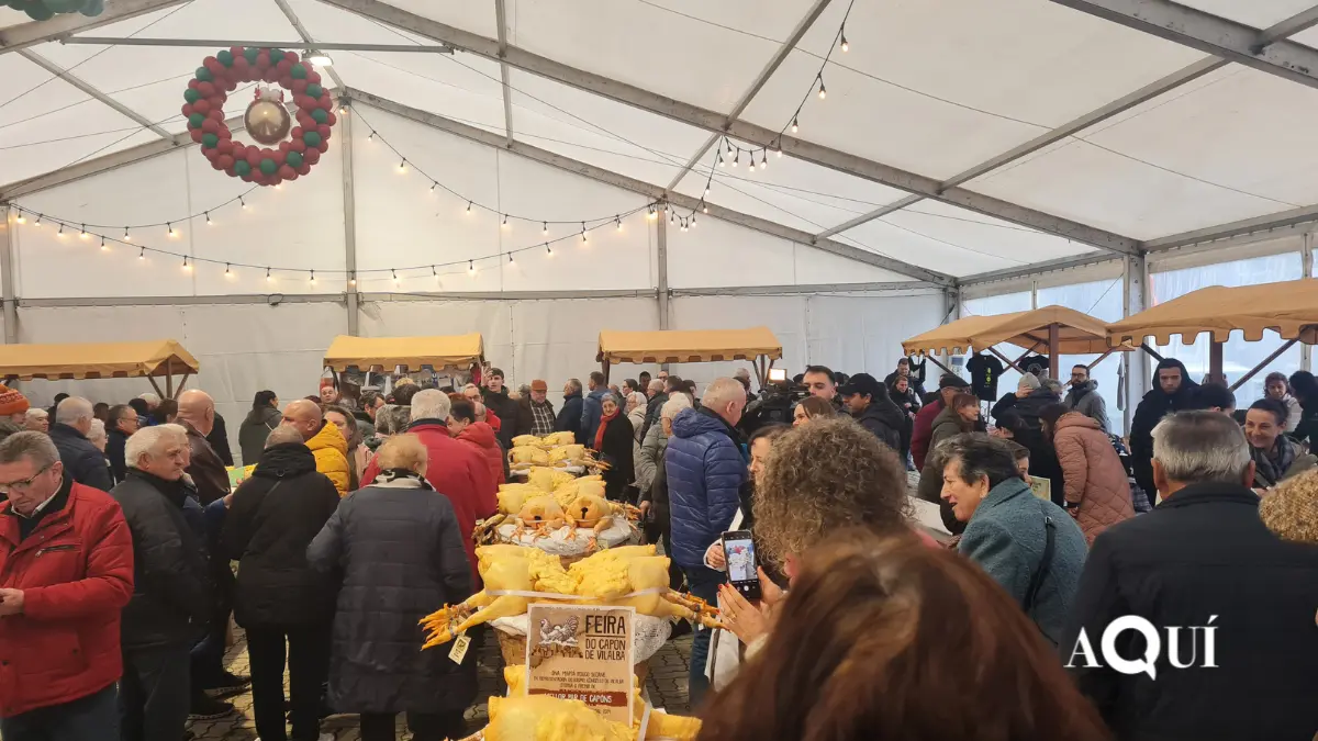 Feira do Capón de Vilalba (16)