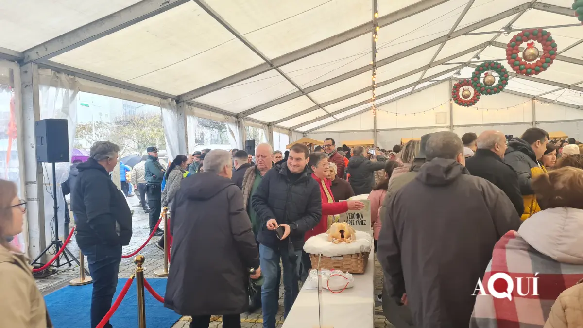 Feira do Capón de Vilalba (19)