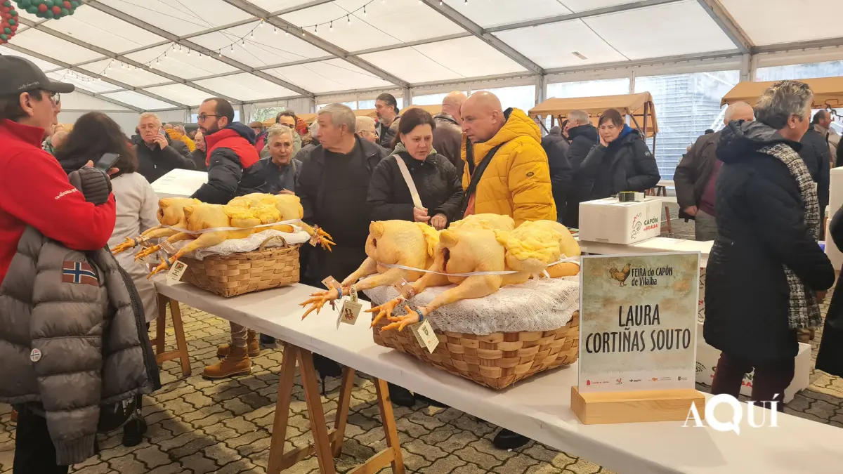 Feira do Capón de Vilalba (20)