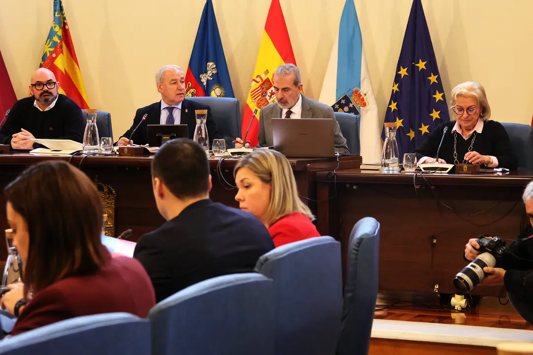 250225 Pleno Deputación