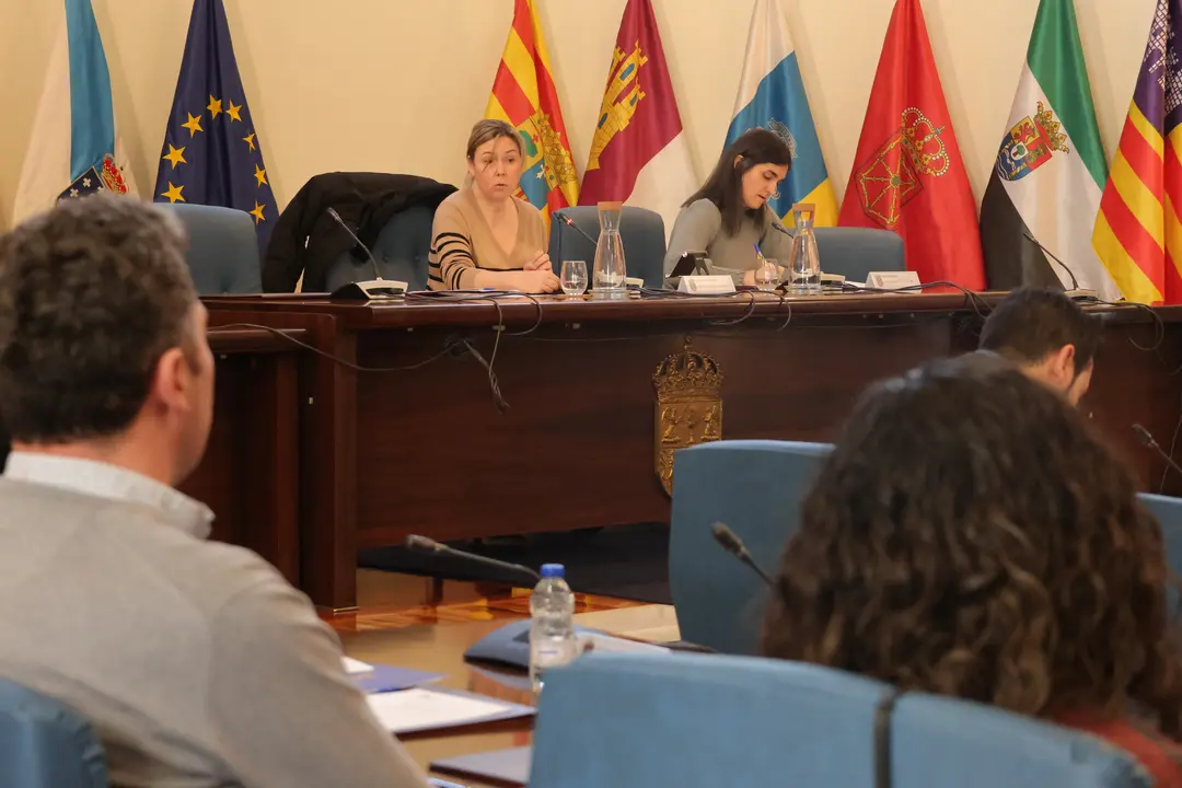 280225 Consello de Turismo da Deputación