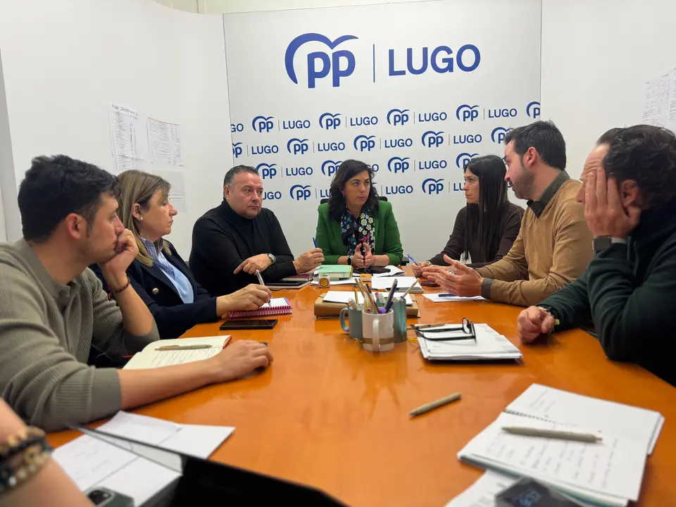 Reunión GMPP Lugo 2025.03.05