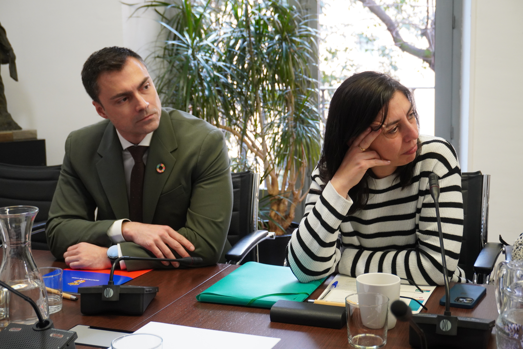 120325 Reunión FEMP