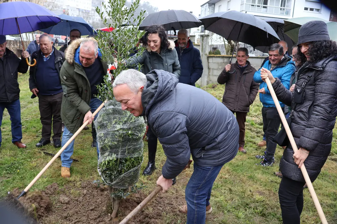 El diputado Carlos López participó en el Día da Árbore en el barrio de Galegos, en Lugo