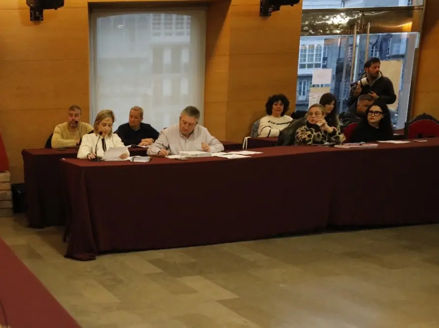 Imagen del pleno de Viveiro
