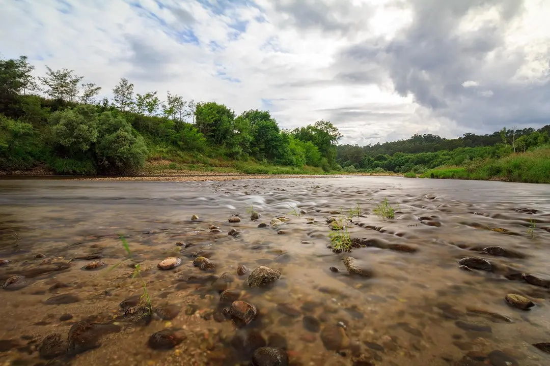 Río Miño