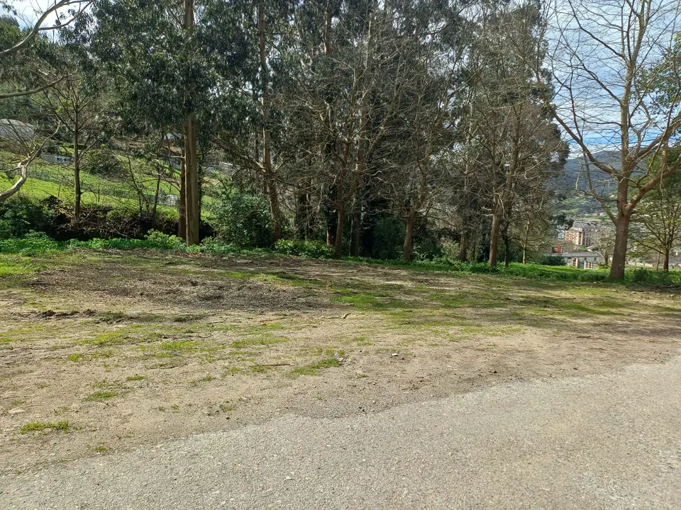 Vertidos nas Nogueiras despois de limpar