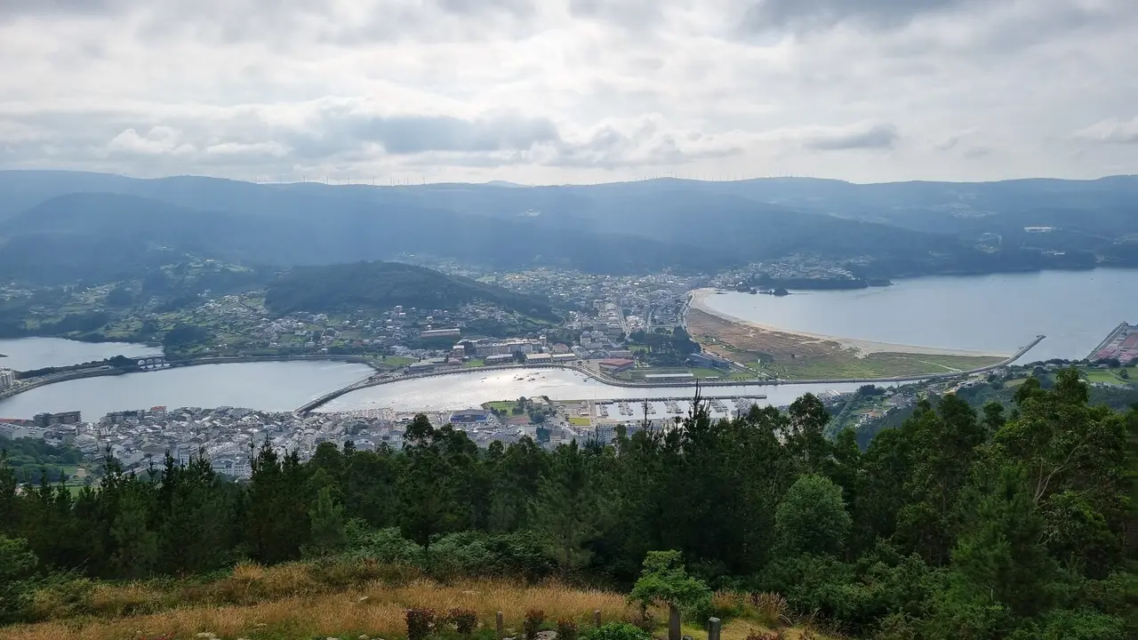 VIVEIRO