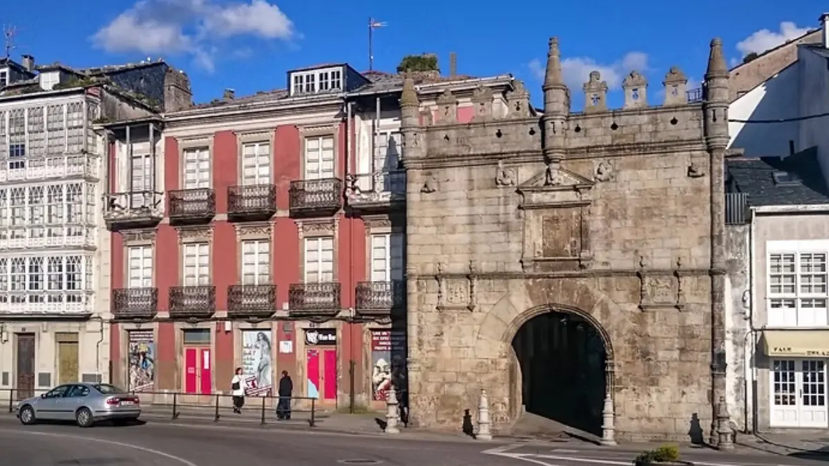 viveiro