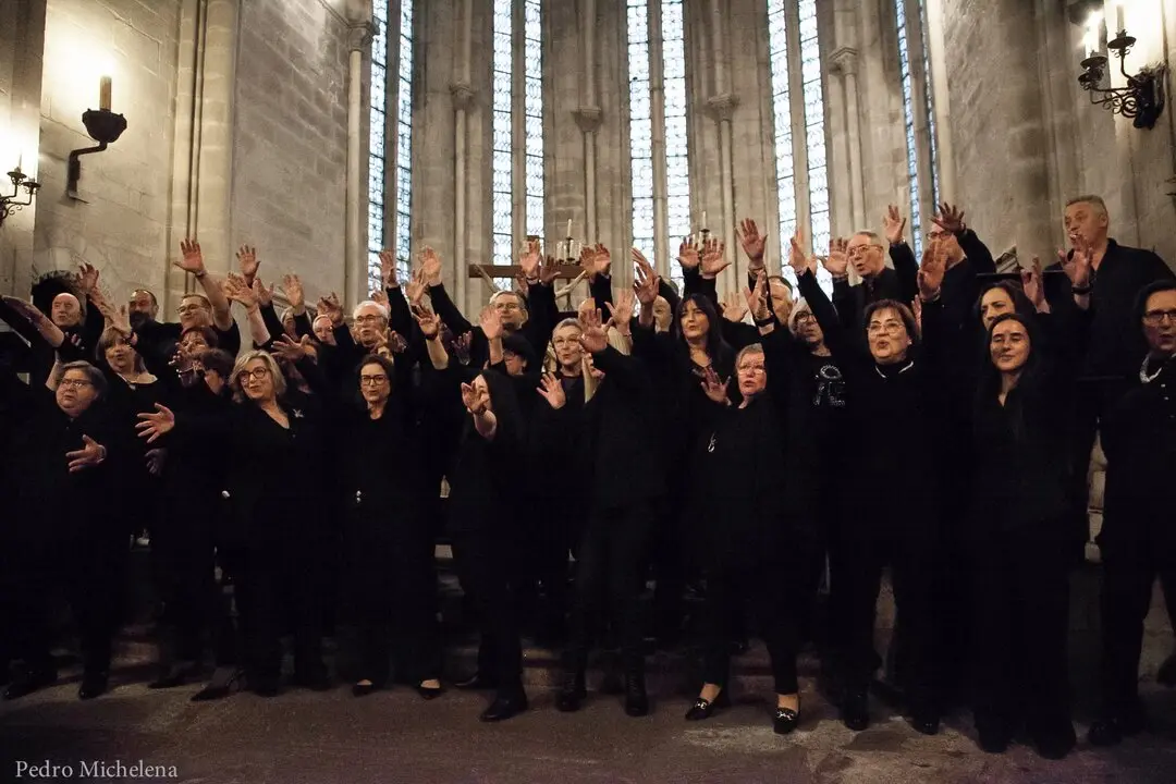 VIVEIRO MÚSICA