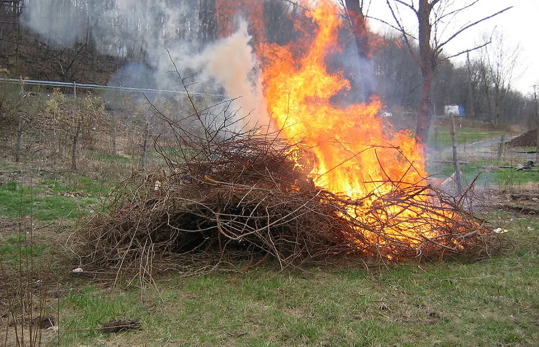 QUEMAR-EN-ZONA-FORESTAL-ASAJA-CORDOBA
