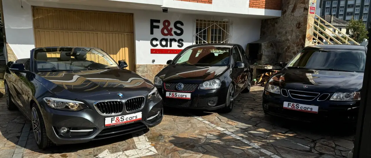 Algunos de los modelos disponibles a trav&eacute;s de F&S Cars, importados bajo pedido