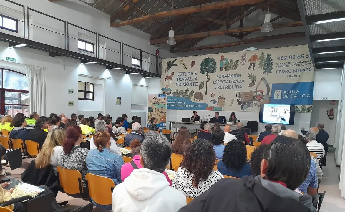 20250611_PortasAbertas_CFEA_PedroMurias