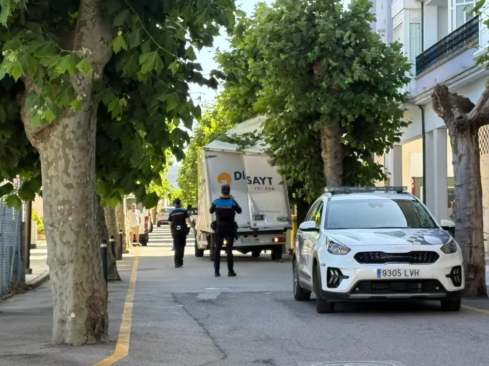 Un cami&oacute;n impact&oacute; contra un &aacute;rbol de la calle Alza y la v&iacute;a tuvo que ser cortada por la polic&iacute;a